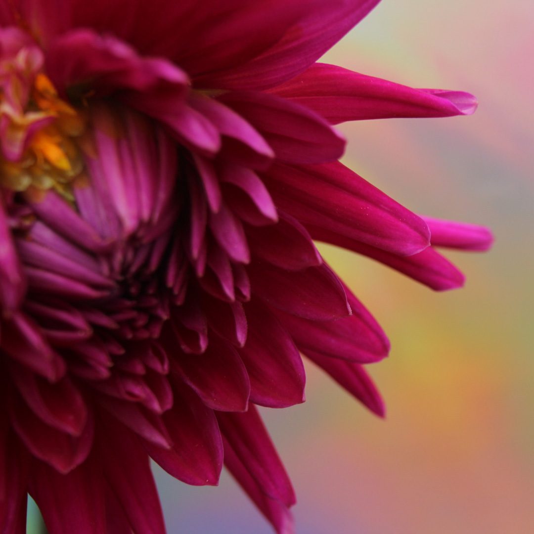 Be_Present